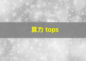 算力 tops